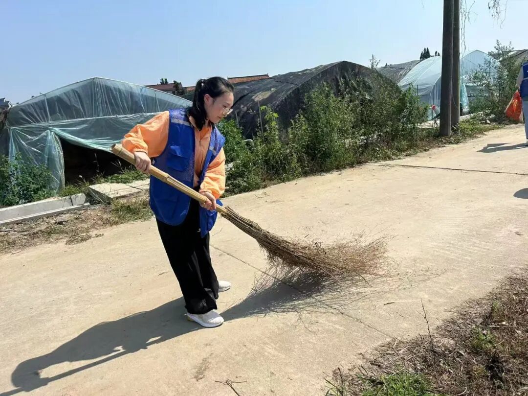 紫星村：“志愿红” “网格蓝” “环卫橙” 绘就美丽乡村新画卷
