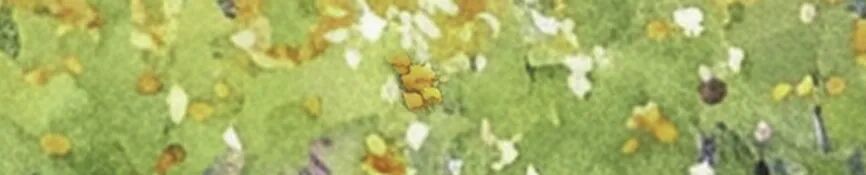 风从草原来—— 内蒙古文学交流活动暨《草原》自然写作营即将启幕 第4张