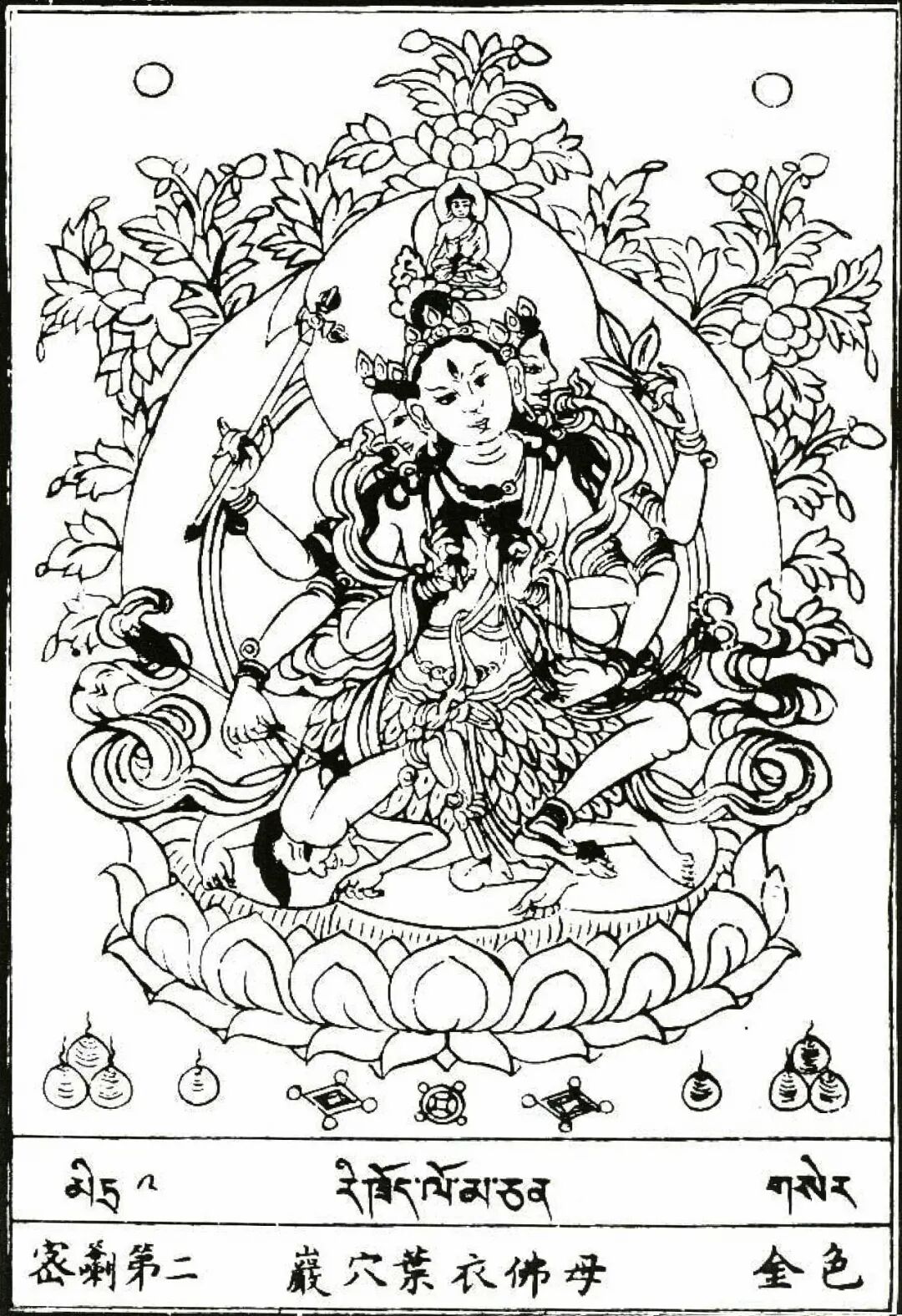 叶衣佛母莲部主明妃观世音菩萨消除一切疫病之神的化身