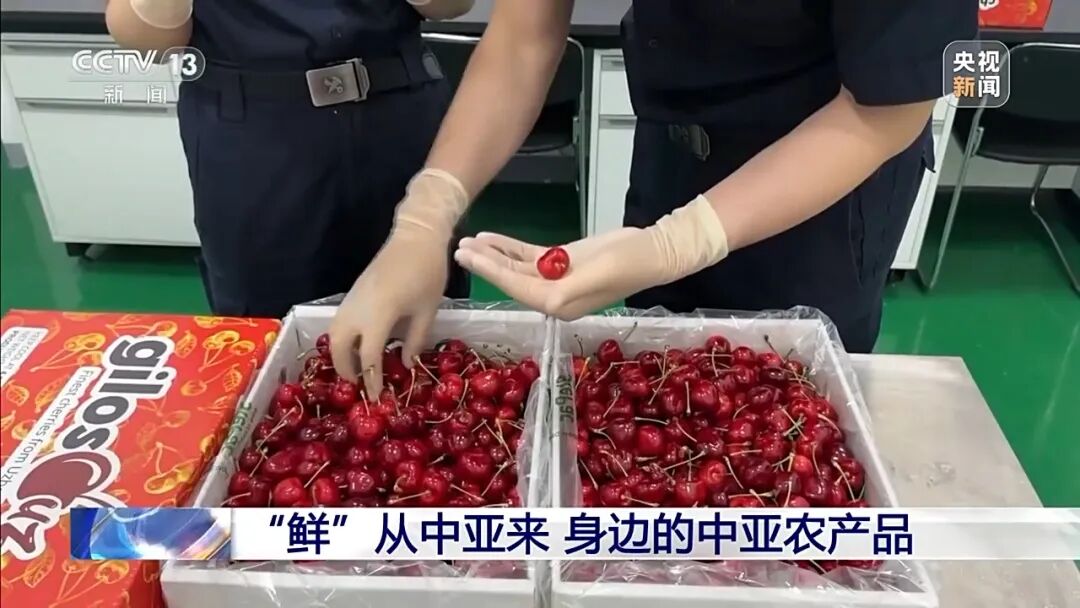 “鲜”从中亚来 身边的中亚农产品