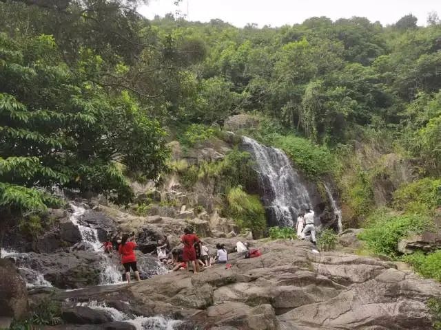 “特种兵”“行山”等旅游模式,成为内地游客访港新潮流