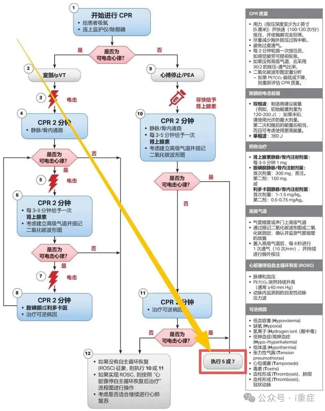 新生儿电极片怎么贴2025年美国AHA心肺复苏指南更新_https://www.jmylbn.com_新闻资讯_第11张