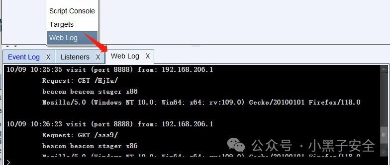 Example Image
