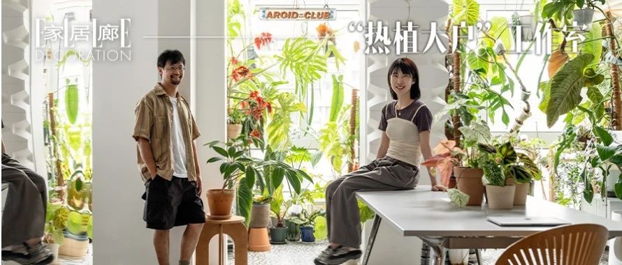 当代“植男植女”,这样拯救“蕉绿”