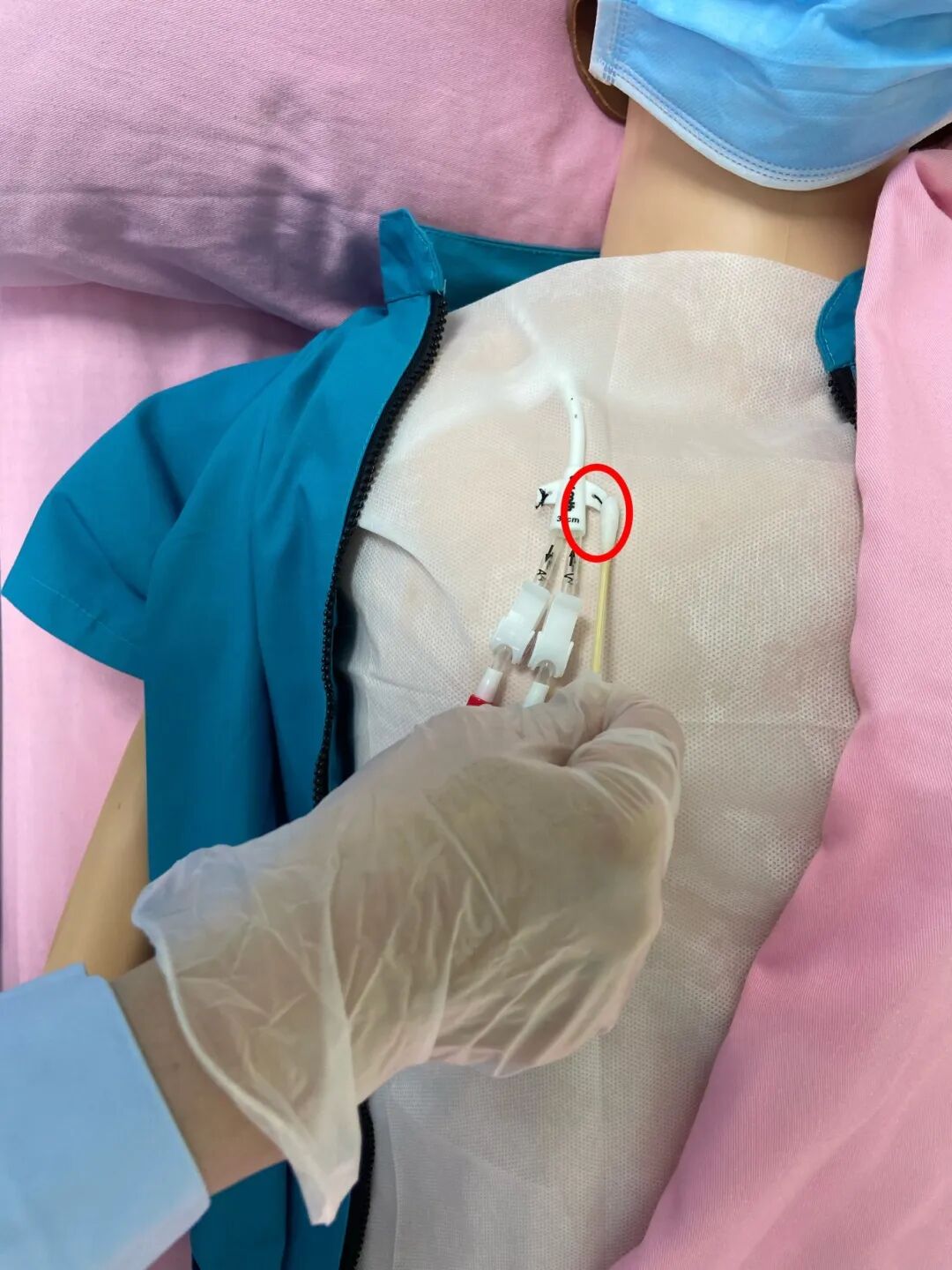 无菌纱块怎么使用一文让你学会透析导管自我换药_https://www.jmylbn.com_新闻资讯_第78张