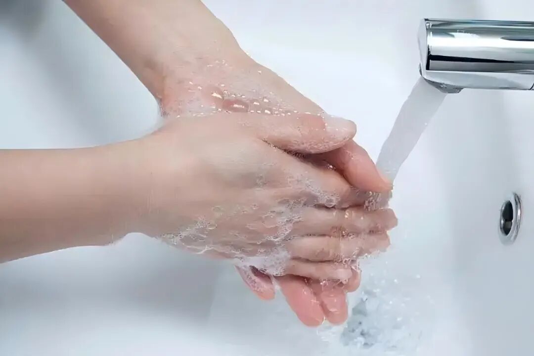 无菌纱块怎么使用一文让你学会透析导管自我换药_https://www.jmylbn.com_新闻资讯_第22张