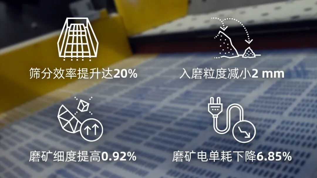 20260325-02图标 金凤矿业.jpg