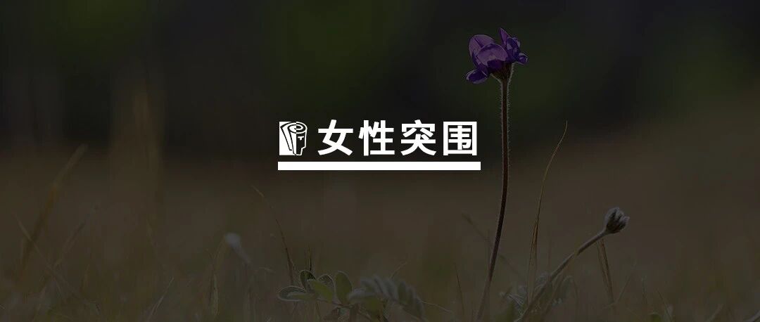 女性领导力发展的星辰大海