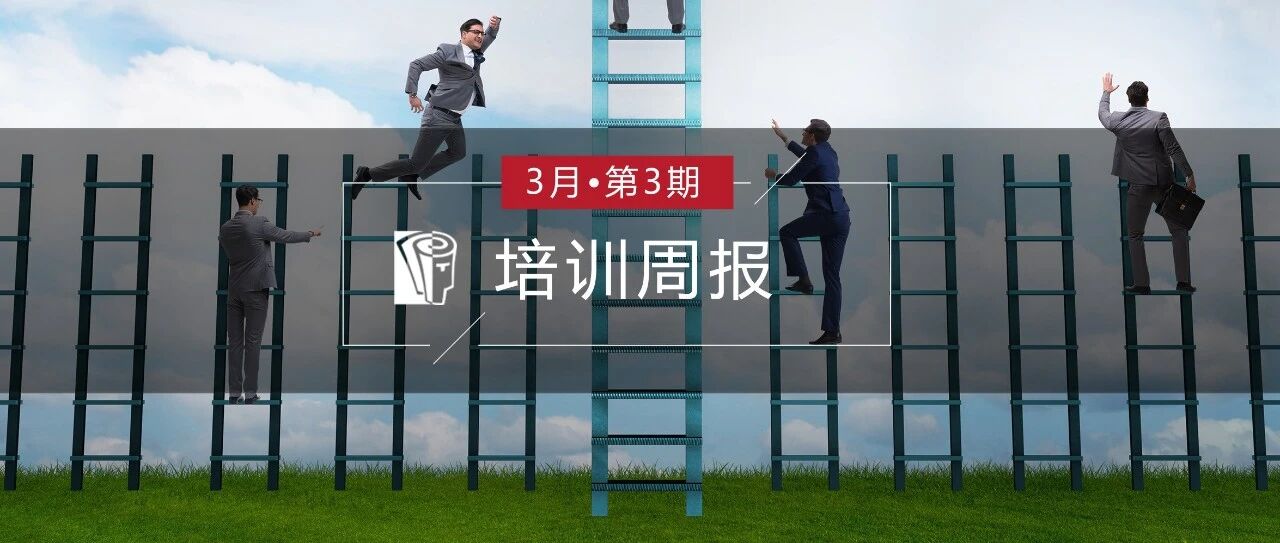 知识电竞？没想到在线学习还能这么刺激！