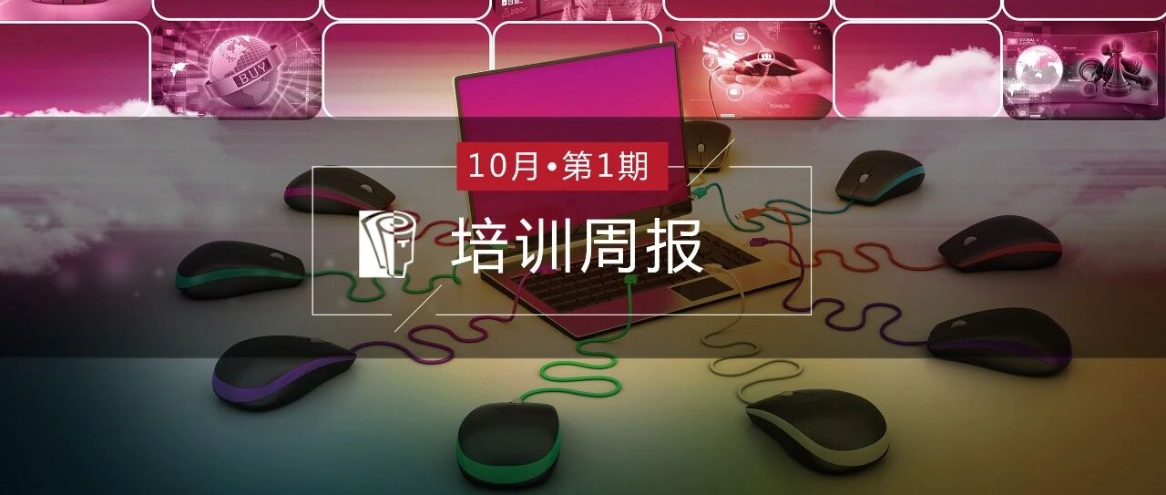 有预感！今天介绍的这群人双11大概会加班！
