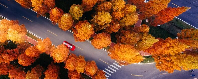 西安帶科技的大學_西安科技大學3+1申請條件_西安科技咋樣