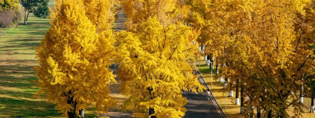 西安科技大學3+1申請條件_西安科技咋樣_西安帶科技的大學