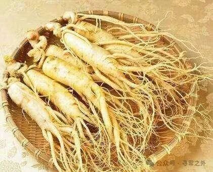 彻底告别虚劳病之二——中药篇