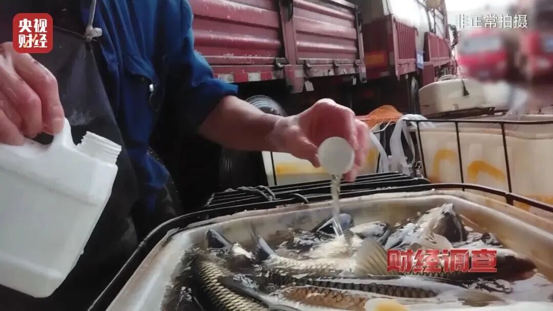 热点检测 | 阿尔塔丁香酚标准物质，让