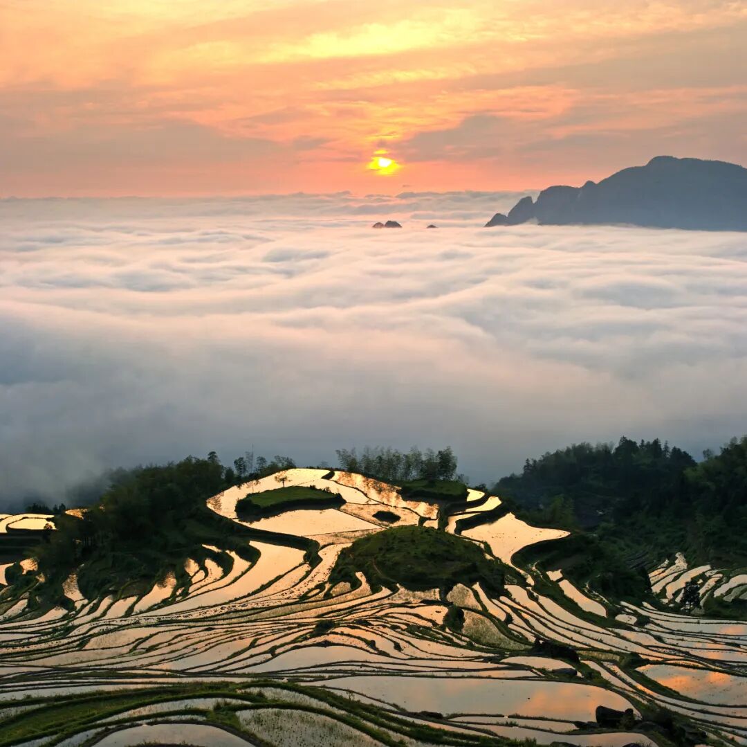 由五千年策划的云和梯田正式确定为国家5a级旅游景区