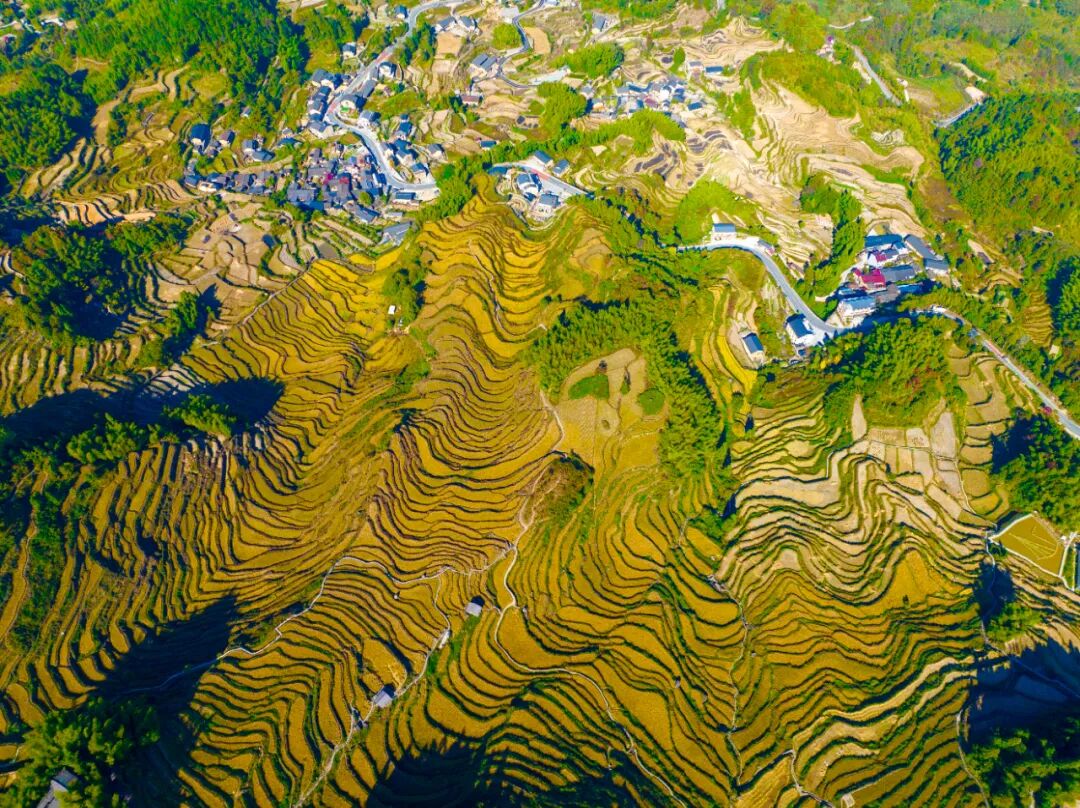 由五千年策划的云和梯田正式确定为国家5a级旅游景区