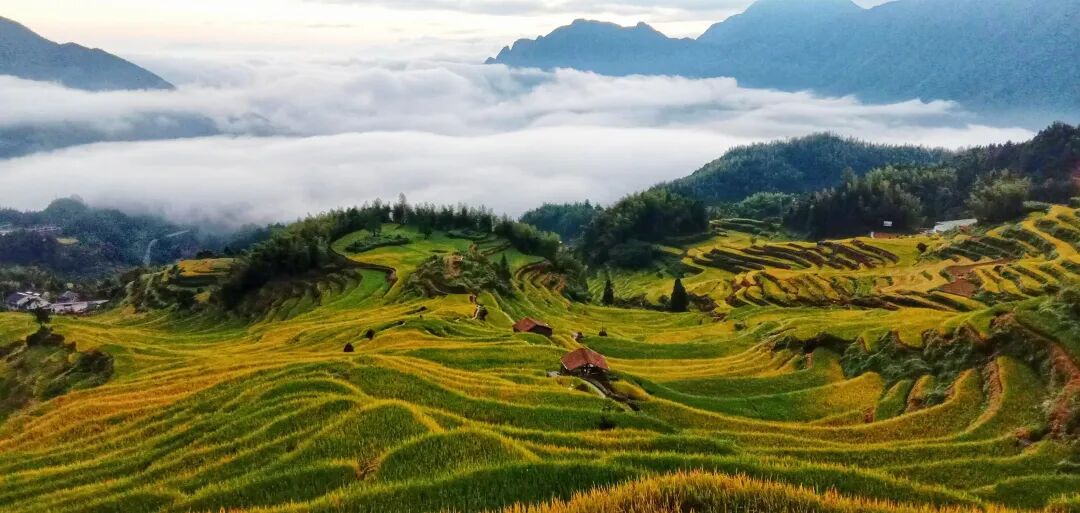 由五千年策划的云和梯田正式确定为国家5a级旅游景区