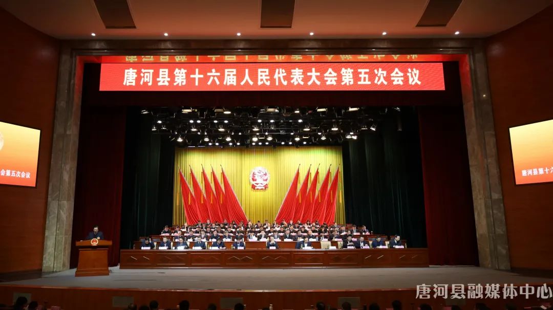唐河县第十六届人民代表大会第五次会议召开第二次全体会议(1)(1)(1).jpg