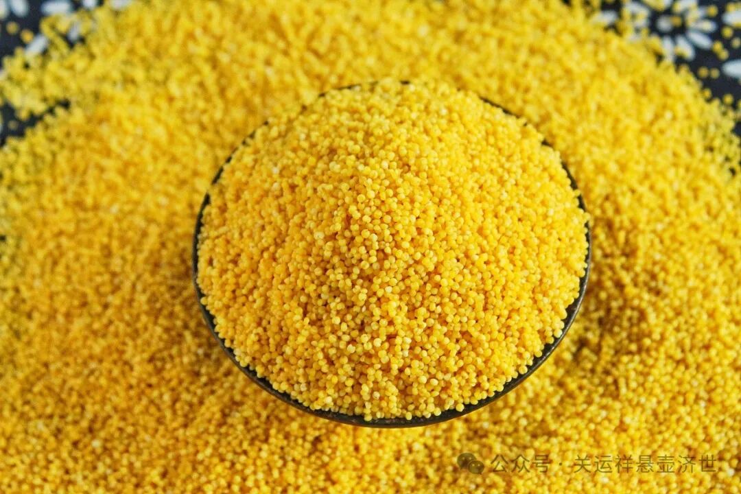 小米味甘,性寒,煮粥吃能"益丹田,补虚损,开肠胃".