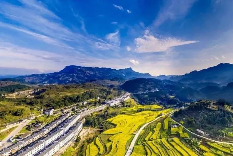 摄影:王开宇摄影:谢世豪美景·桐梓居01遵义市正安县杨兴镇桐梓居