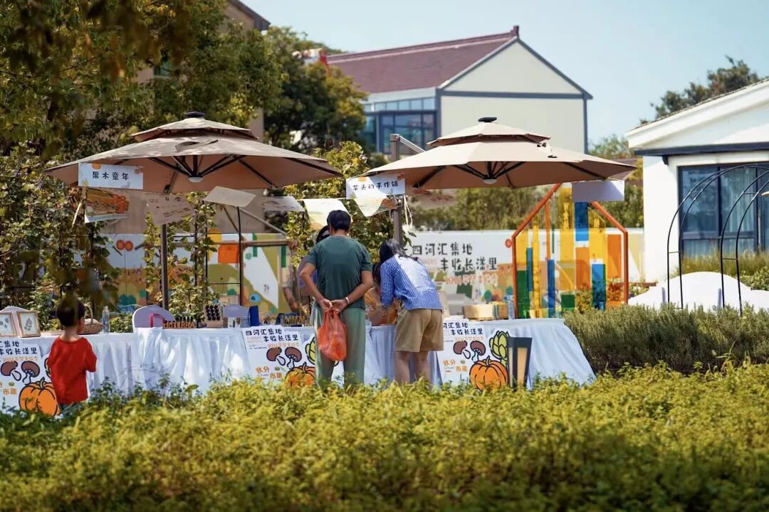 丰收节市集(1).jpg