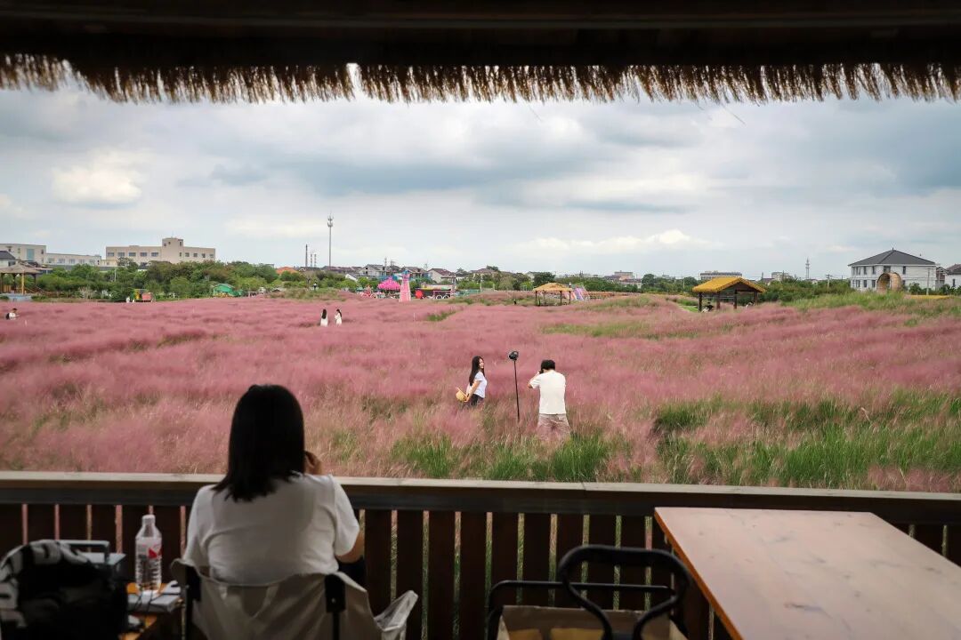平巷里花海 (2).jpg