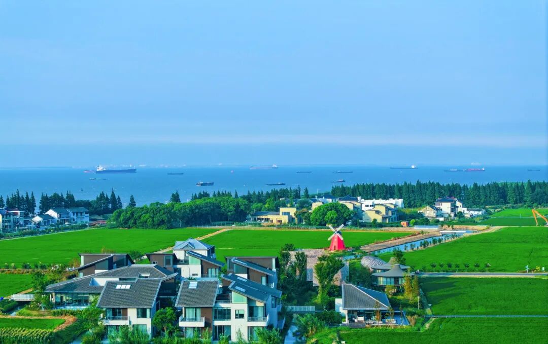 七十二家理想村 (2).jpg