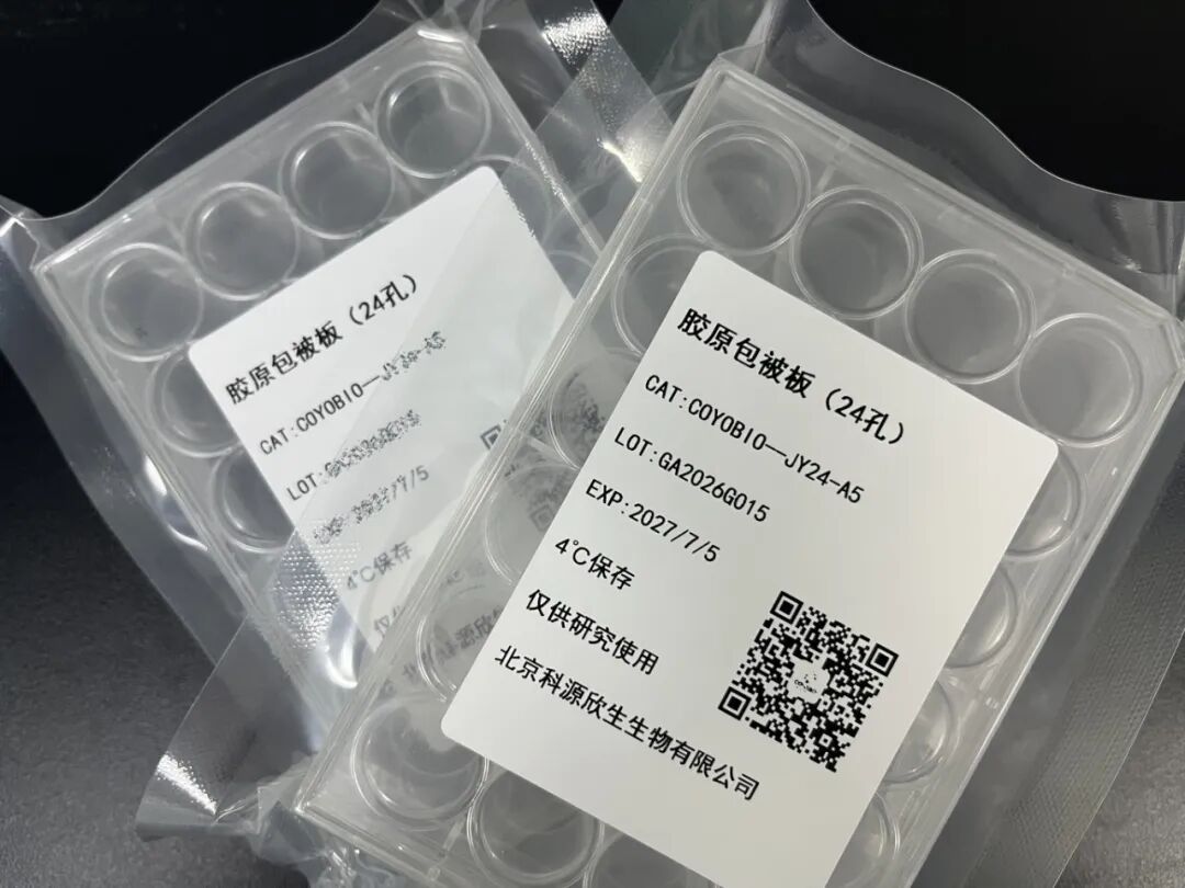 科源欣生推出新品胶原包被板