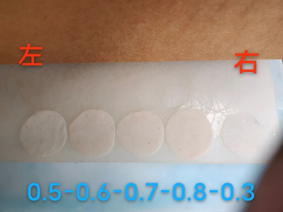 精准定制・实验无忧｜科源欣生实验用猪皮全新上市