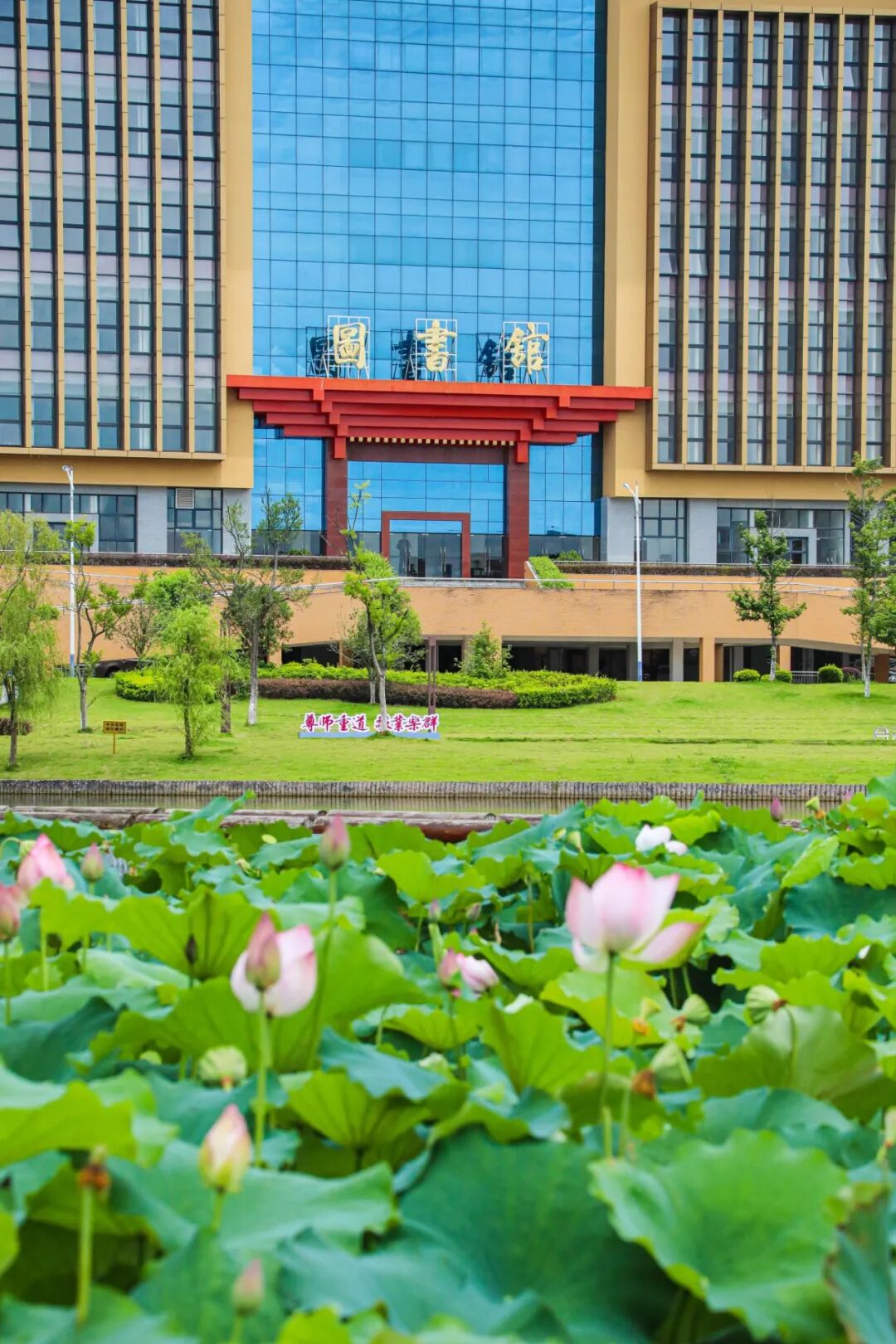 图书馆3 蒙丽娜摄.jpg