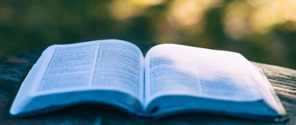 适合低分“捡漏”的985！实力强，报考人数不多的4所985大学（附最新高考录取分数线）