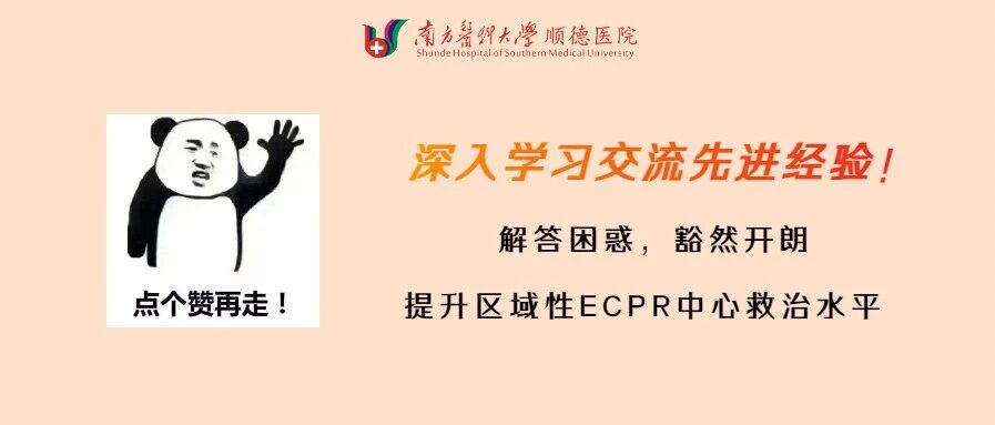 医生手记｜探索德国顶尖ECMO中心：雷根斯堡大学医院的访学之旅