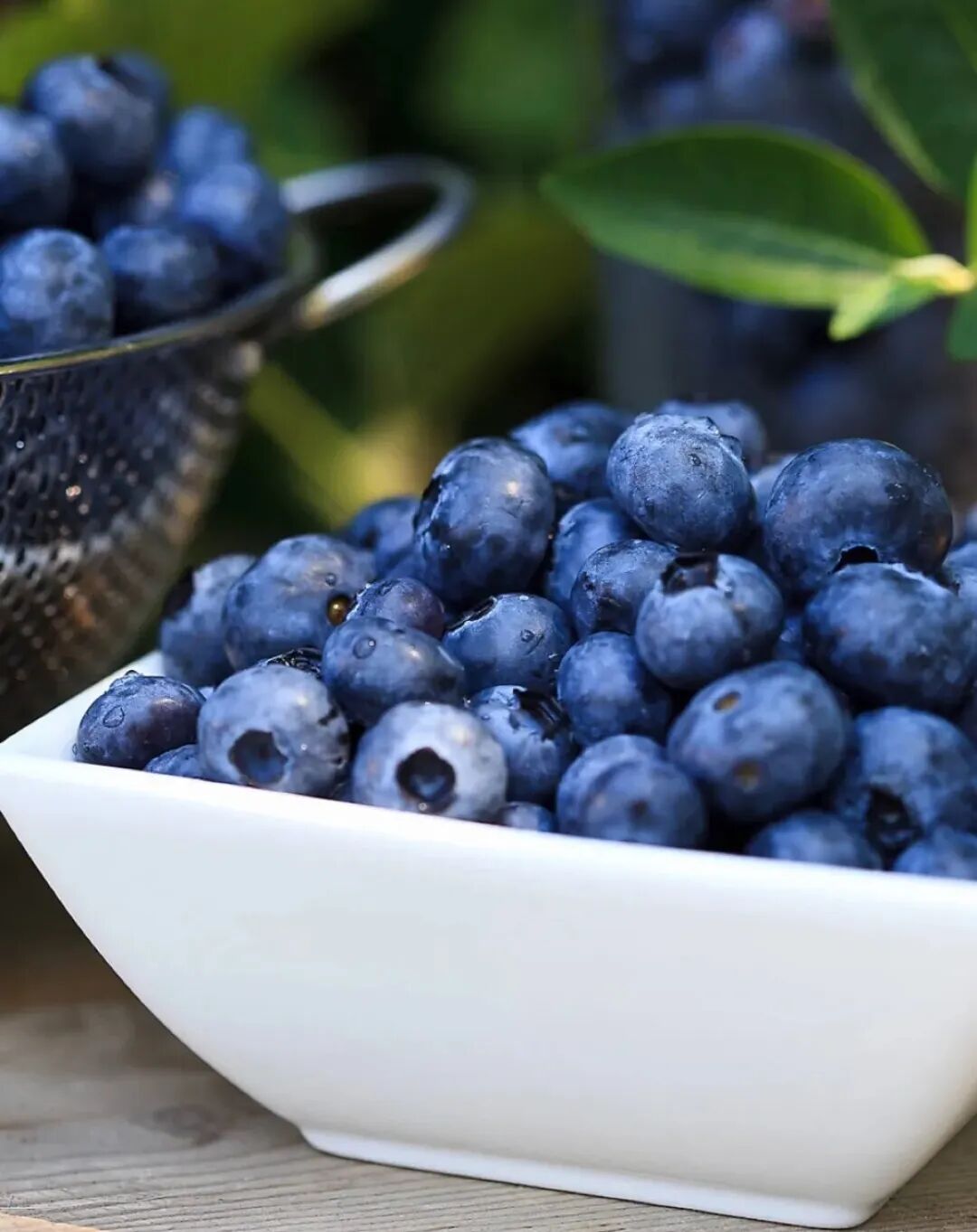 沙漠中的蓝精灵,新疆喀什蓝莓