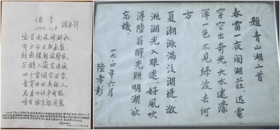 沈飞2.JPG