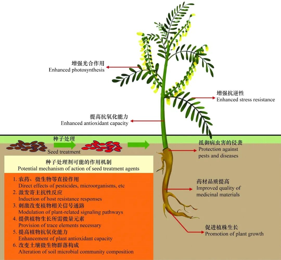 ZWBH202603003_178(1).jpg