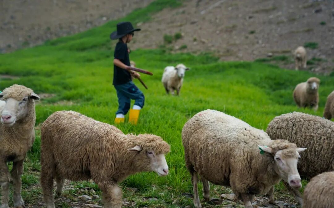 55岁刘若英罕见带儿子露面，9岁酷酷又瘦又高性格活泼，继承妈妈颜值明星范足