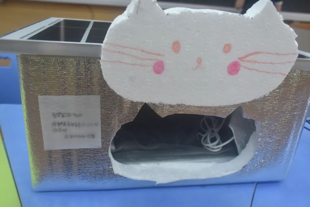 【青鸟北附】 科技筑梦想 实践展风采——义教部小学“小发明•小实验”作品创作评展活动（含视频）