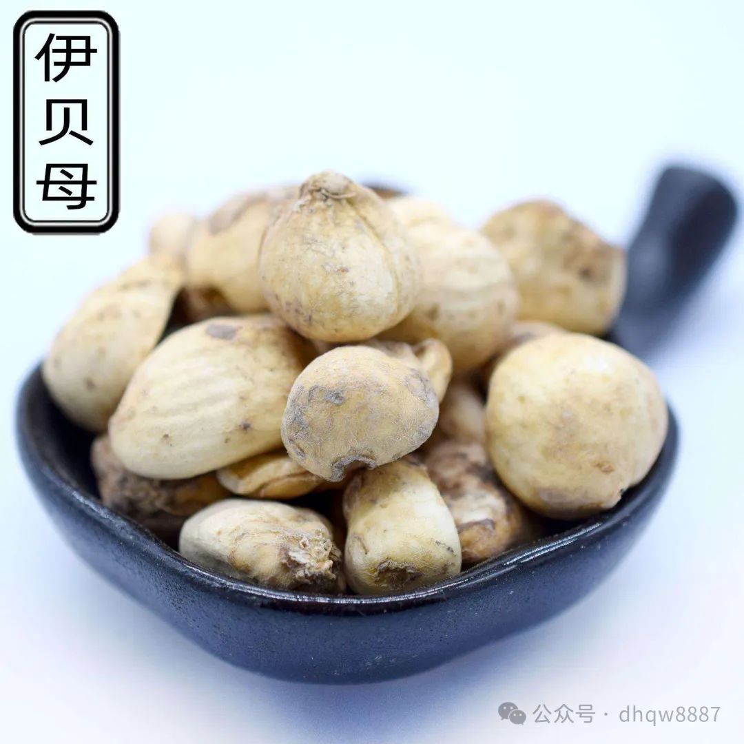 白贝母的作用和功效,中药-伊贝母的功效/禁忌(清肺化痰、止咳平喘、治疗肺痈）