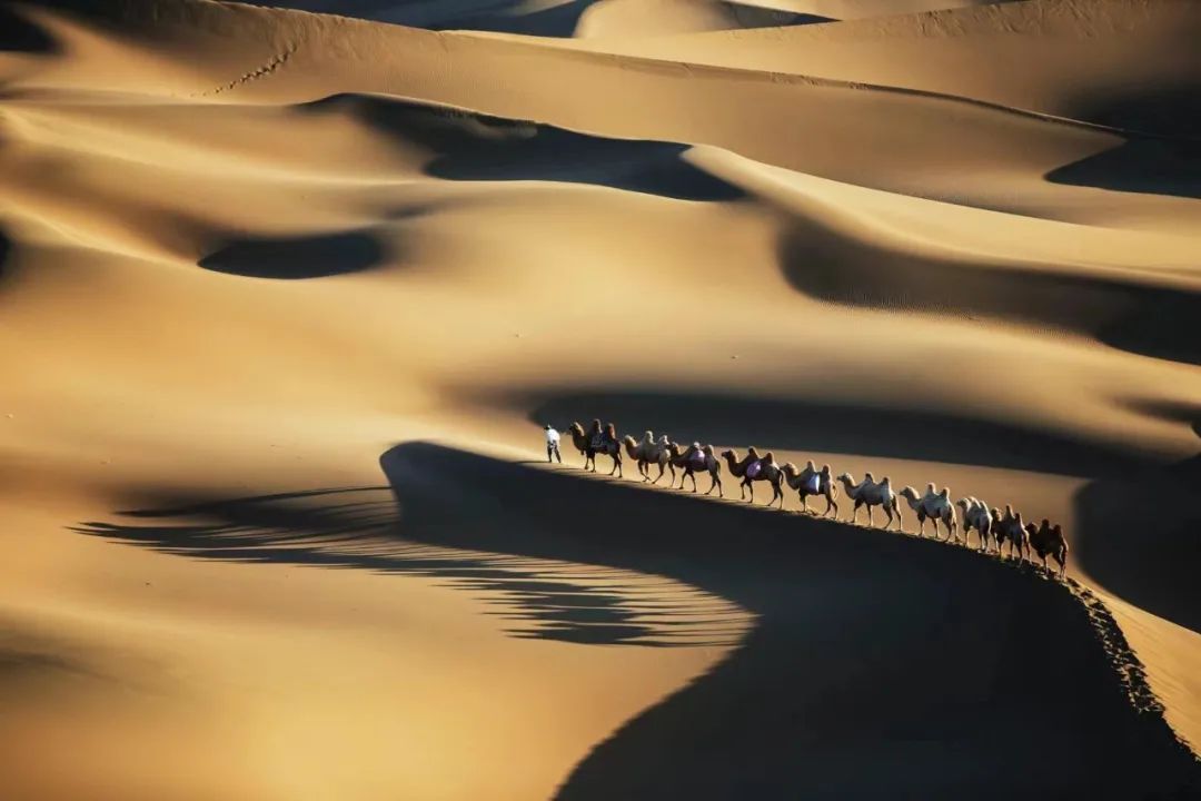 芳菲山大+研+郑小龙+杏花春雨.JPG 图片