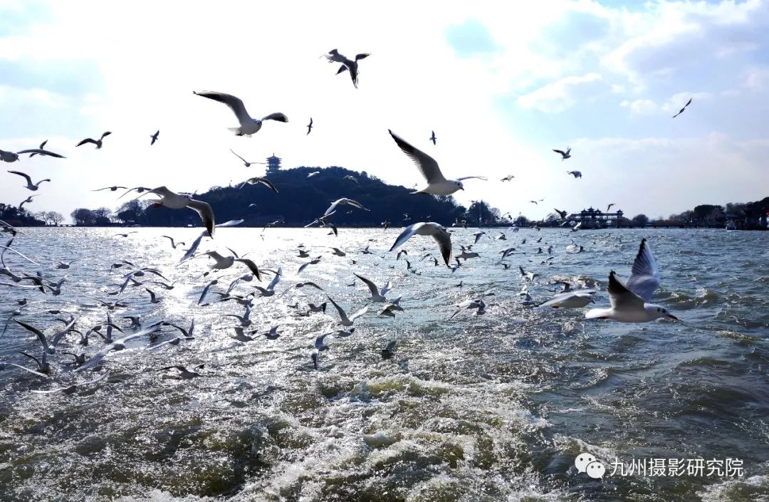 芳菲山大+研+郑小龙+杏花春雨.JPG 图片