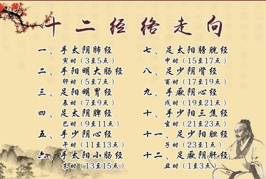 中医基础知识之经络__凤凰网