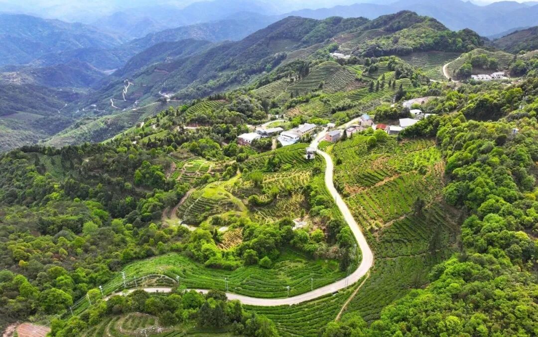 “打开”共富新路子！梅江区积极探索强村公司模式推动集体经济发展_掌上梅州