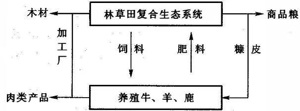 都在这了!生态农业的10大经典模式!_中金在线财经号