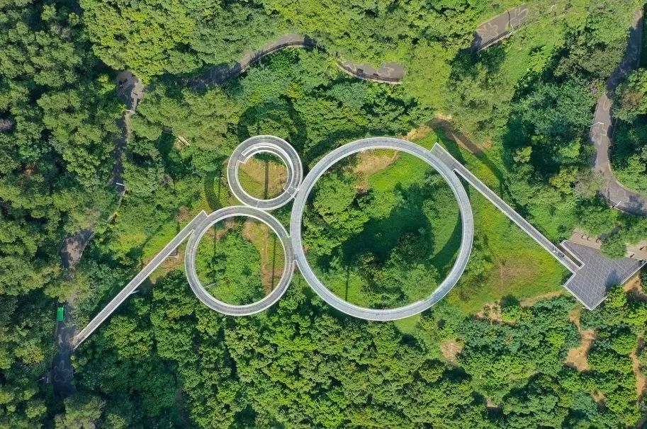 深圳发布生态保护修复规划,共建和美宜居家园 - 广东省国土空间生态修复协会