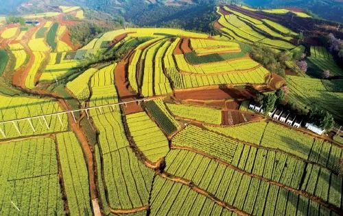 丘陵农业,农业农村,丘陵农机_大山谷图库