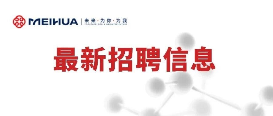 新疆梅花2026年7月招聘简章（社会招聘）