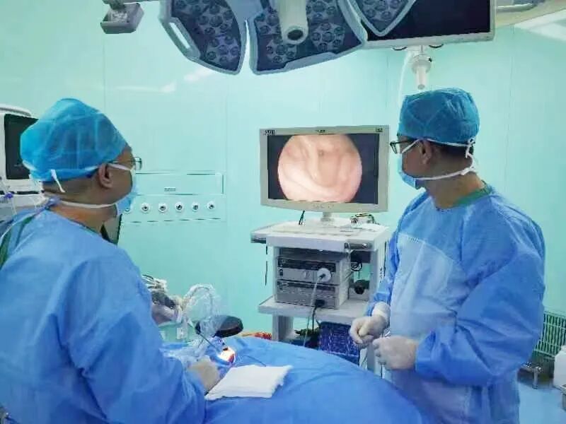 耳鼻喉内镜是什么科2024新技术新项目｜鼓膜穿孔怎么办？耳鼻喉科微创内镜来修补_https://www.jmylbn.com_新闻资讯_第5张