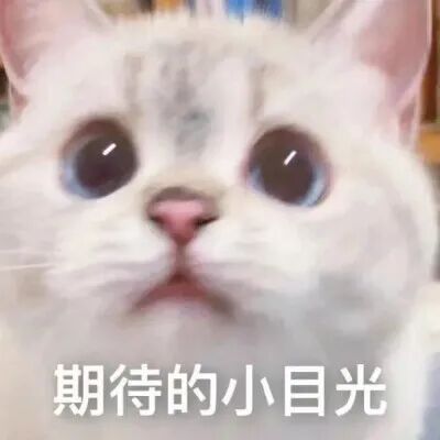 汕头彩超怎么样孕期真的有必要做四维彩超吗？如何一次性过？「汕头妇产科医院」_https://www.jmylbn.com_新闻资讯_第2张