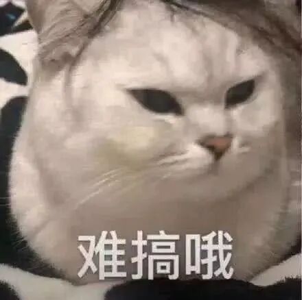 汕头彩超怎么样孕期真的有必要做四维彩超吗？如何一次性过？「汕头妇产科医院」_https://www.jmylbn.com_新闻资讯_第3张