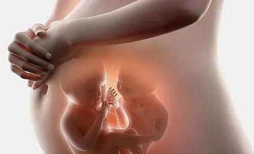 汕头彩超怎么样NT检查、四维大排畸、孕晚期四维小排畸能互相取代吗？「汕头妇产科医院」_https://www.jmylbn.com_新闻资讯_第5张